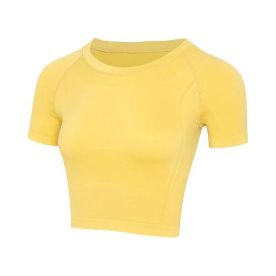 China 2022 New Spring Seamless Women's Fitness Breathable Short Sleeve/Summer Yoga T-shirt Sports Top Thin Quick Dry Breathable Suit for sale