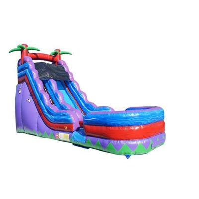 China Outdoor Playground Commercial Inflatable Water Slides Water Slides Manufacturer Professional Water Slide For Kids for sale