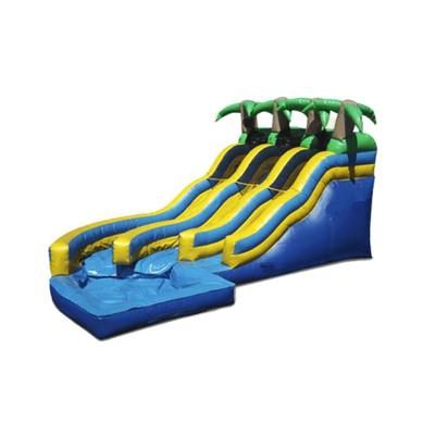 China New Outdoor Playground Funny Inflatable Water Slides With Pool Water Play Equipment Cheap Inflatable Water Slides for sale