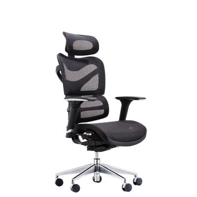 China (Size) 2021 Adjustable High End Ergonomic Furniture Mesh Computer Chair Office Swivel Chair for sale