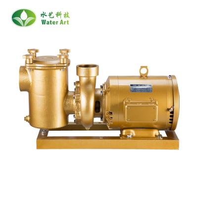 China Easy Install Hot Sale Brass Sea Water Used Pool Pump , Pool Water Motor for sale