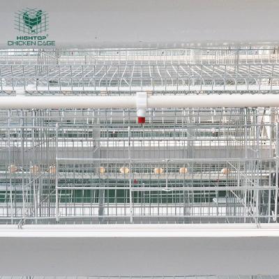 China Layer Chicken Farming Fully Automated Industrial One Type Layer Hen Battery Farming Cage Poultry System For 10000 Birds for sale