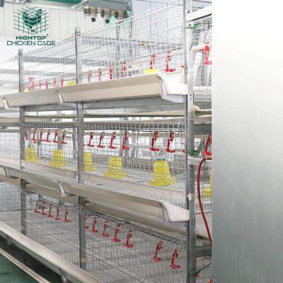 China Modern Design Poultry Farm Equipment Chicken Farms Automatic 3 Tiers H Type HIGHTOP Broilers Cage System for sale