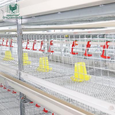 China HIGHTOP Type Q235 Automatic Chicken Cage Broiler Farms Poultry Farming H Type Cage for sale