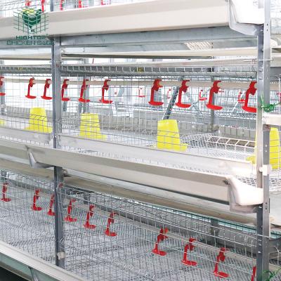 China High Quality Farms Poultry Farming Equipment Battery Chicken Cage H Type System For Broiler for sale