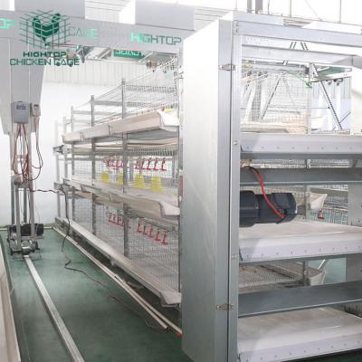 China Fully Automatic Farms H Type Broiler Cage System With Automatic Feeding And Drinking for sale