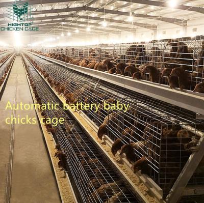 China Poultry Farms Lay Chicks Pullet Cage HIGHTOP One Day Type Automatic Chick Battery Pullet Cage Baby Chick Chicken Cage Brooder Cage for sale