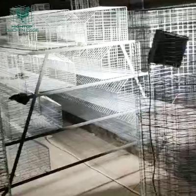 China Poultry Farms Layer Hot Dipped Galvanized A 3 Tiers Pullet Layer Poultry Farm Equipment Chicks Pullet Cage Raising Chicks Chicken Cage For Sale for sale