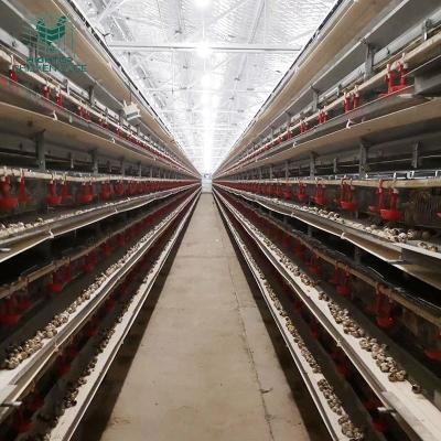 China High Quality Commercial Full Automatic Battery Layer Farms Quail Farm Equipment H Type Quail Cage System For Sale In Nigeria for sale