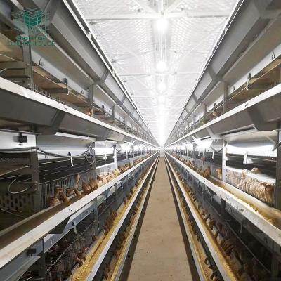 China Farms Automatic 10000 Layer Quail Bird Layer Egg Cage Design For Profesionial Quail Farm for sale