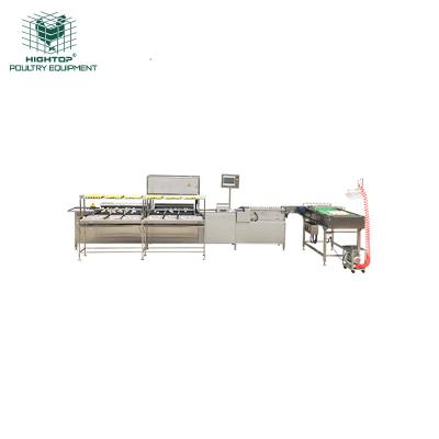 China Layer Farm Commercial Automatic 10000pcs/h Egg Weight Sorting And Grading Machine For Sale for sale