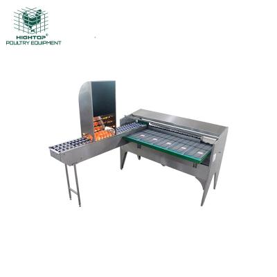 China Commercial Layer Farm Chicken Grading And Egg Sorter With Chicken Egg Candling for sale