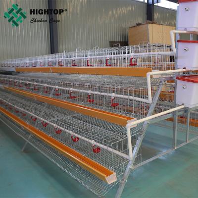 China Layer Chicken Farming Layer Poultry Farm Cage Chicken Battery Hen Eggs Life 30 Years for sale