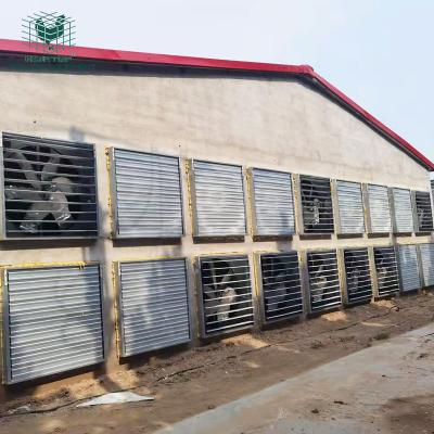 China Layer Chicken Farming China Manufacture Chicken Poultry Envonment Automatic Control System HIGHTOP for sale