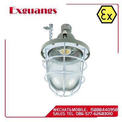 China IIA Pendant Light Fittings Explosion Proof Light Fittings (IP65 IIC) for sale