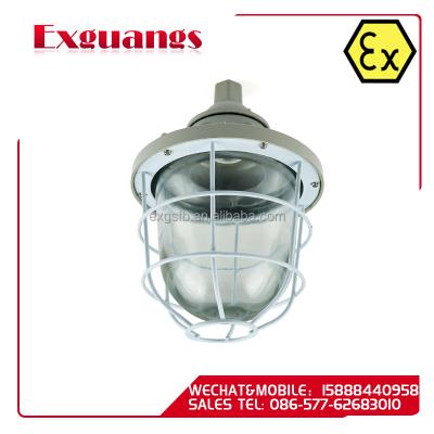 China IIA BAD51 series explosion-proof lights/LED light (IIB IIC DIP IP65) for sale