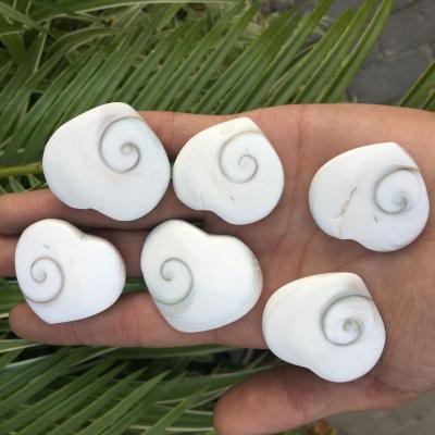 China Europe Natural High Quality Small Size Fossils Healing Crystal Stones Shellstone Craved Heart for sale