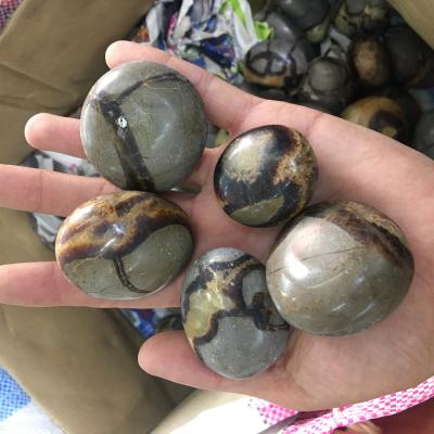 China Wholesale Natural Septarian Palmstones Europe Healing Septarium Palm Stone Stone for sale