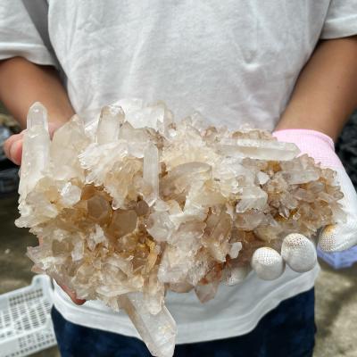 China Europe Wholesale Natural Stone Crystal Cluster Rough Clear Quartz Reiki Raw Group For Home Decor for sale