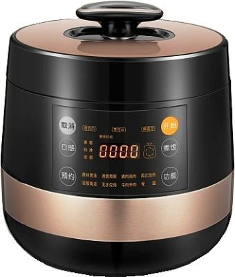 China Household New Arrival CE CB Certificates Electric Pressure Cooker for sale