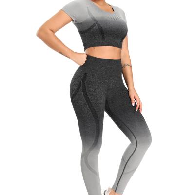 China QUICK DRY Seamless Round Neck Yoga Wear Sports Fitness Suit Slim Summer Spring Gradient Spring Yoga Wear for sale