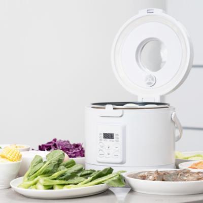 China 3L Digital Home Kitchen Mini Rice Electric Fast Cook Commercial Multi-Function Smart Baby Oatmeal Digital Multi Rice Cooker for sale