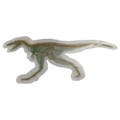 China 3d holographic patch apparel label with dinosaur pattern for sale