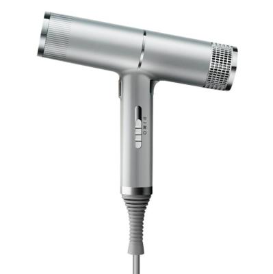 China Professional Wholesale DC Ion Motor Hair Dryer Hair Dryer for sale