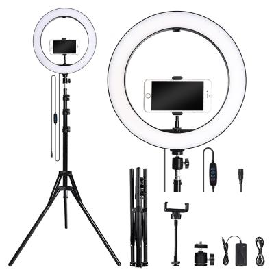 China Shine 46cm/18 Inch Professional Led Ring Light With Adjustable Tripod Stand Suits For Live Show Ring Light For Indoor Video Shooting for sale