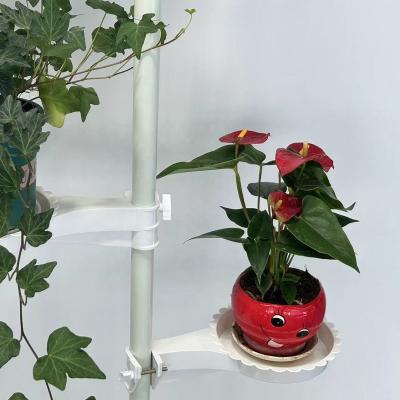 China Behind Doors/On Walls Factory Hot Sale 1.1-3.1m Flower Rod Adjustable Flower Stand Flower Pot Stem for sale