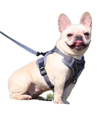 China Custom Made Viable No Pull Dog Vest Reflective Polyester Outdoor Adjustable Dog Harness And Leash Set for sale