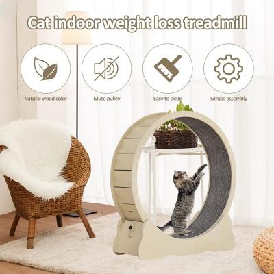 China Cute Viable Cat Wheel Treadmill Exercise Wheel Cat Furniture Pet Toy Cats Loss Weight Device for sale