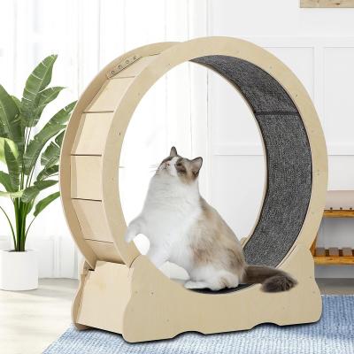 China Cat Toys Circle Track Viable For Tread Interactive Exercise Household Pet Wheel Cat Climbing Frame Fiberboard Cat Running Treadmill for sale