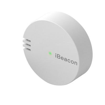 China Tracking/Advertising Small Portable Ble 5.1 Manufacturer Small Portable Ble 5.1 Indoor Beacon Temperature Sensor Beacon Long Range Ibeacon for sale