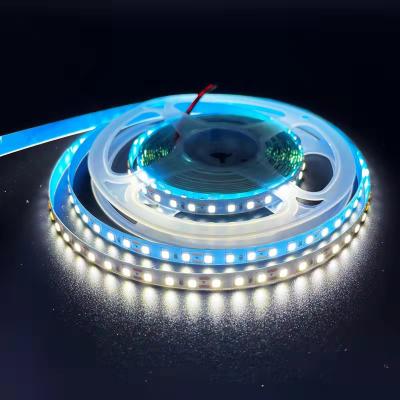 China Garden+Home+Outdoor+Indoor high brightness 2835 led strip light 5M 300led waterproof IP65 60led/m outdoor led strip light for sale