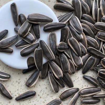 China China Wholesale Fresh Raw Sunflower Seeds for sale