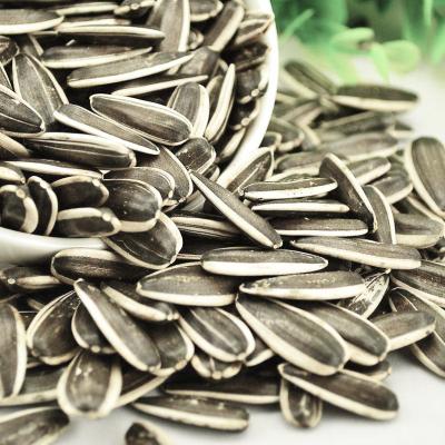 China Fresh Natural Raw Black Striped Sunflower Seeds Big Size Sunflower Seeds for sale