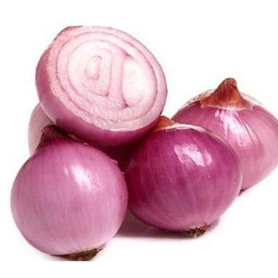 China Fresh 20kg bags bellary red onions for sale