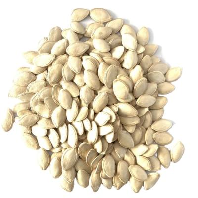 China China Fresh New Crop Gansu Raw Processing Medium Pumpkin Seeds for sale