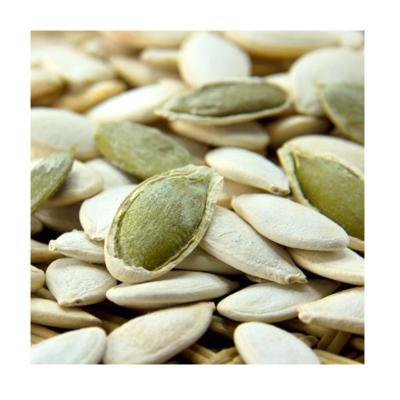 China High Quality Chinese Hot Fresh Cultivated Big Snow White Pumpkin Seeds for sale