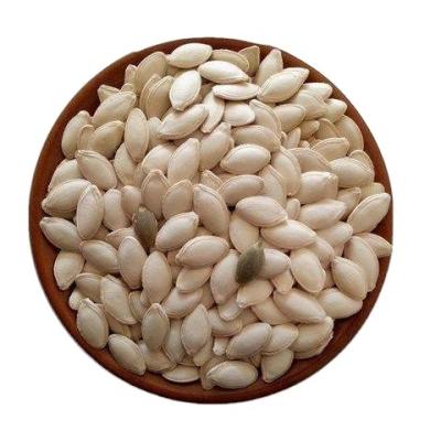 China Fresh hot raw pumpkin seed snow sale china white color for sale