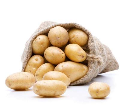 China China Fresh Natural High Quality Organic Potatoes for sale