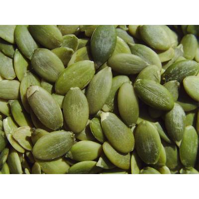 China Dry Chinese Pumpkin Seeds /pumpkin seed kernels hot sale factory price for sale