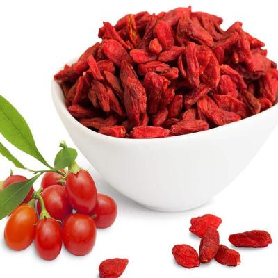 China Gansu Organic Dry Fresh Natural 100% Pure High Quality Wholesale Dry Wolfberry Goji Berry Organic for sale