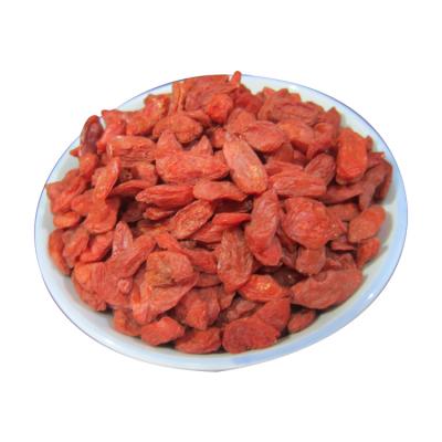 China Ningxia Goji Berry Organic Dried Wolfberry Dried Plant for sale