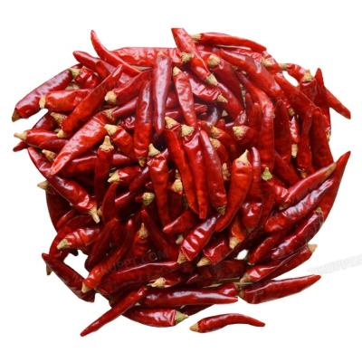 China Dry Sweet Red Pepper /Whole Paprika Pods Dried Red Sweet Chili for sale