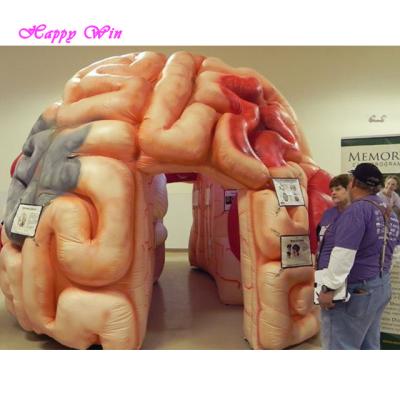 China Product Promotion Customized Attractive Giant Inflatable Brain Model Inflatable Organ Brain Model For Display for sale