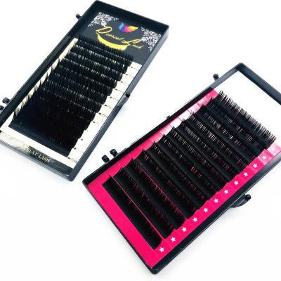 China Soft Natural Own Brand Matte Ellipse Flat Eyelash Extension Individual Korean Silk for sale