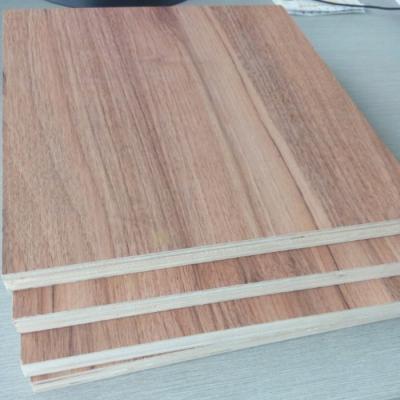 China Modern Wood Grain Melamine Laminated Plywood 15mm for sale