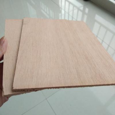 China Modern Door Use Okoume Plywood for sale